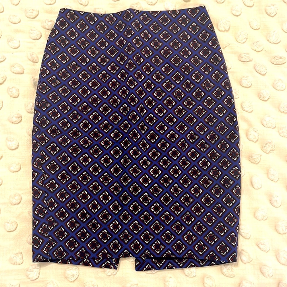 Express Pencil Skirt
